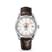 Omega Seamaster Aqua Terra  watch replica 231.13.42.21.02.002