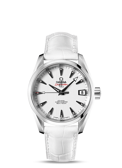 Omega Seamaster Aqua Terra Mens  watch replica 231.13.39.21.54.001