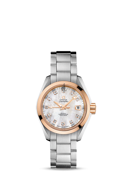 Omega Seamaster Aqua Terra  watch replica 231.20.30.20.55.003