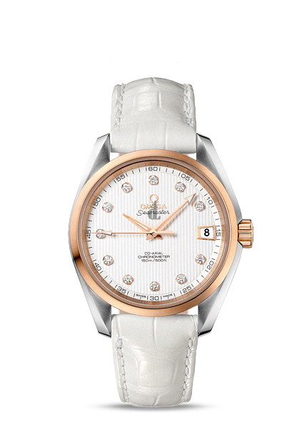 Omega Seamaster Aqua Terra  watch replica 231.23.39.21.52.001