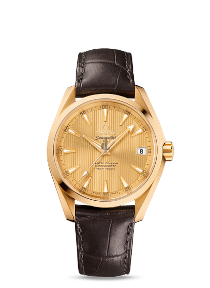 Omega Seamaster Aqua Terra  watch replica 231.53.39.21.08.001