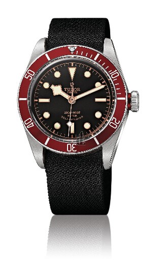 fake Tudor Heritage Black Bay SteelAdvisor Steel and Titanium -79220R unisex Watch