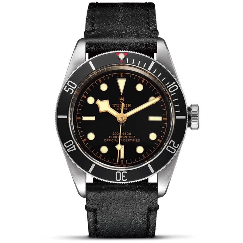 fake Tudor Black Bay Watch 41 mm M79230N-0008