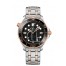 OMEGA Seamaster Steel Sedna Gold Chronometer Watch 210.20.42.20.01.001 replica