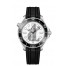 OMEGA Seamaster Steel Anti-magnetic Watch 210.32.42.20.04.001 replica