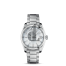 Omega Seamaster Aqua Terra Midsize Chronometer fake 231.10.39.21.55.001