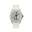Fake Patek Philippe Aquanaut Luce Haute Joaillerie Pure White Ladies Watch 5069G-011