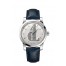 OMEGA Seamaster Steel Anti-magnetic Watch 511.13.38.20.02.001 replica