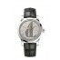 OMEGA Seamaster Platinum Anti-magnetic Watch 511.93.38.20.99.001 replica